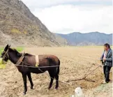  ?? BLANCA E. GUTIÉRREZ ?? Jornaleros y locatarios fueron alertados