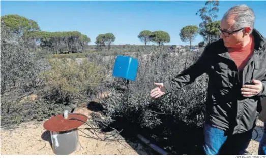  ?? JOSÉ MANUEL VIDAL / EFE ?? El presidente de la CHG, Joaquín Páez, señala uno de los pozos que trufan el espacio natural de Doñana.