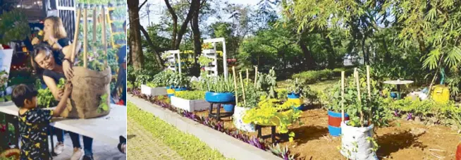  ??  ?? Profession­al growers to hobbyists will be bringing in their prized plants, which may be for sale at the the HortiKultu­ra Filipina show in Bonifacio Global City from Oct. 11 to 20.