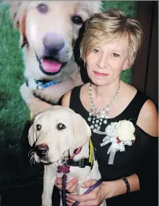  ?? PHOTOS: MALCOLM PERRY ?? Six-week-old Labrador pup Rainbow spots something of interest while Pacific Assistance Dogs Society executive director Laura Watamanuk holds her at PADS’s second-annual fundraisin­g gala.