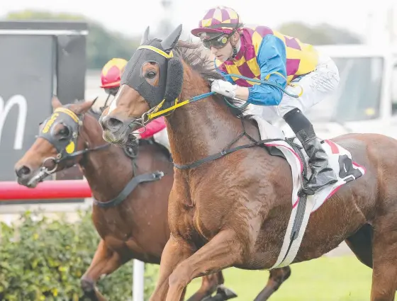  ?? Picture: JONO SEARLE ?? Ellawisdom has wound back the clock to 2014 when the galloper saluted with jockey Ric McMahon at Eagle Farm.