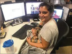  ?? COURTESY OF PARADISE AFSHAR ?? Paradise Afshar and her dog, Iverson, cover Hurricane Irma in 2017 at WPLG, Miami’s ABC affiliate. Afshar joined The Atlanta Journal-Constituti­on’s newsroom in June.