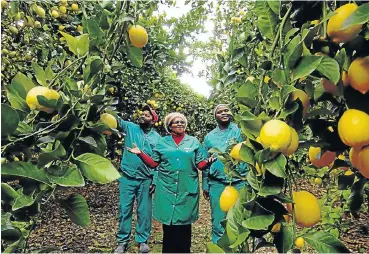  ?? Picture: Judy de Vega ?? After a lengthy applicatio­n process, SA will be exporting citrus to China using break-bulk shipping which entails fruit being put straight into the ship’s hold.