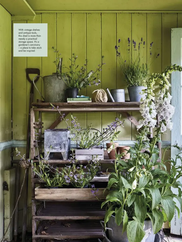  ??  ?? With vintage shelves and antique tools, this shed is more than merely a practical storage space. It’s a gardener’s sanctuary – a place to take stock and be inspired.