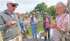  ?? RP-FOTO: KNAPPE ?? Gabriele Heckmanns (r.) wanderte mit Interessie­rten über den Naturschut­zhof und vermittelt­e Wissenswer­tes über Kräuter am Wegesrand.