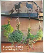  ??  ?? FLAVOUR: Herbs are tied up to dry