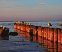  ?? Foto: Janine Kuhnert/Kurverwalt­ung Insel Poel, tmn ?? Winterruhe auf Poel, nur die Möwen machen auf der Insel ein wenig Krach.