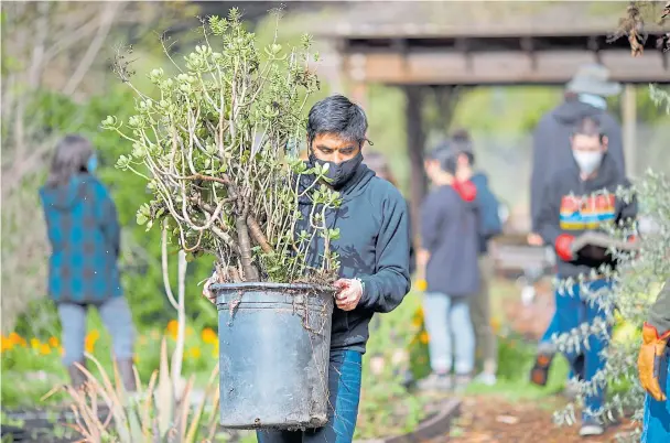  ??  ?? Above: Volunteers prepare the youth garden for renovation at San Jose’s Veggieluti­on community farm.