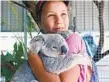  ?? NETFLIX VIA AP ?? Izzy Bee, 11, holds a koala in a scene from “Izzy’s Koala World.”