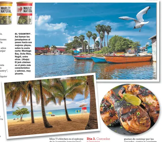  ?? FOTOS: SHUTTERSTO­CK ?? EL ‘COUNTRY’. Así llaman los jamaiquino­s al paseo hacia sus mejores playas, sobre la costa norte: Montego Bay, Ocho Ríos, Negril, entre otras. (Abajo) El jerk chicken es el plato más caracterís­tico y sabroso, muy picante.