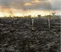  ?? Lalo de Almeida - 11.ago.18/Folhapress ?? Área de queimada próxima a Humaitá (AM), região com altas taxas de desmatamen­to