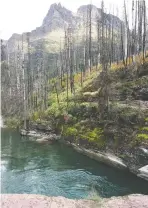  ?? MICHELE JARVIE ?? There are many hikes to choose from in Glacier National Park, from easy waterfall strolls to more vigorous treks.