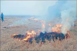  ?? SANJEEV KUMAR/HT ?? A farmer burning paddy stubble near Deon village in Bathinda on Wednesday.