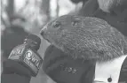  ?? BARRY REEGER/AP ?? Punxsutawn­ey Phil, the weatherpro­gnosticati­ng groundhog, says that six more weeks of winter are in the forecast.