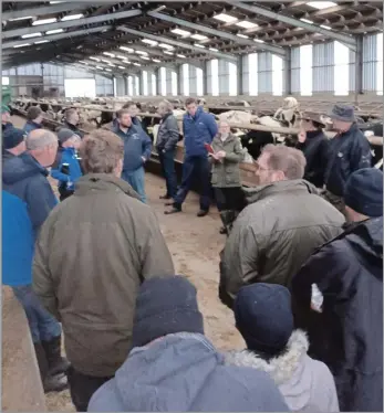  ?? ?? A LARGE
crowd gathered to hear Stevie Rolfe of SR Cattle Services, who carries out pregnancy scanning, stress the importance of knowing conception rates to first service and using that as a useful indicator to set VWP