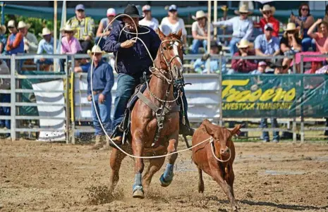  ?? PHOTO: MIKE KENYON ?? EASY FAVOURITE: Last year’s all around champion Shane Iker in action at The Carlton Dry Warwick Rodeo National Finals.