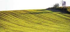  ??  ?? Herbstfeld nennt Max Trometer aus Zusmarshau­sen dieses Bild, das südwestlic­h von Wollbach aufgenomme­n wurde.