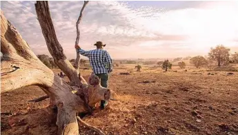  ?? Photo: VMJones ?? CHANGE NEEDED: City people want to help drought-stricken farmers, but may become reluctant if there’s not more transparen­cy around donations.