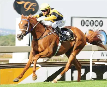  ?? Photograph: JC Photograph­ics ?? DROP IN CLASS: Jika could benefit from a slight drop in class and take Race 6, a MR 80 Handicap at the Vaal Classic course tomorrow, registerin­g his third career victory.