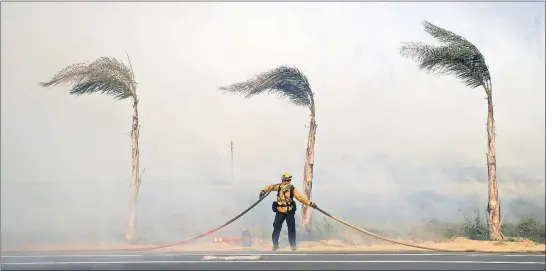  ?? [JAE C. HONG/THE ASSOCIATED PRESS] ?? Palm trees sway in a gust of wind as a firefighte­r carries a water hose while battling a wildfire Thursday at Faria State Beach in Ventura, Calif.