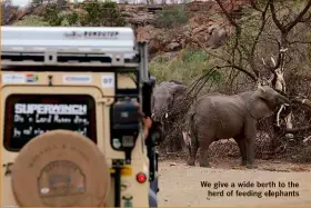  ??  ?? We give a wide berth to the herd of feeding elephants