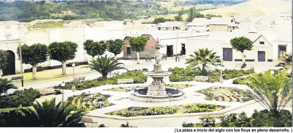  ?? ?? | La plaza a inicio del siglo con los ficus en pleno desarrollo. |