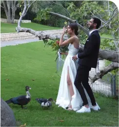  ?? (Ruth Schuler in Jerusalem) ?? UNFORTUNAT­ELY, I don’t think Mr. and Mrs. Mallard were invited to the wedding. I just hope there won’t be any fowl play.