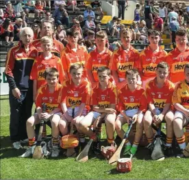  ??  ?? The Horeswood squad before Sunday’s final defeat to New Ross District neighbours Fethard in Nowlan Park, Kilkenny.