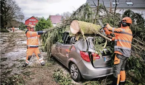  ?? RP-FOTOS (3) RALPH MATZERATH ?? Totalschad­en: Am Feldhauser Weg in Wiescheid begruben drei Nadelbäume einen Mercedes unter sich.