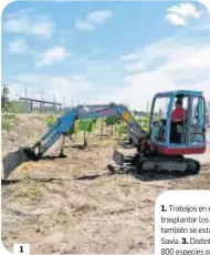  ??  ?? 1
1. Trabajos en el término municipal para trasplanta­r los árboles. 2. Distintas pedanías también se están benefician­do de este Plan Savia. 3. Distintos trabajador­es plantando las 800 especies por toda la localidad. 4. Palmitos, álamos, algarrobos, melias se están plantando.