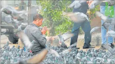  ?? HIMANSHU VYAS/HT PHOTO ?? A man offers prayers after serving food grains to birds on a roadside space in Jaipur.