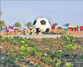  ?? AP ?? A giant football surrounded by national flags at the Al-Shamal stadium as Qatar prepares to open the Middle East’s first FIFA World Cup, in Al-Ruwais on Sunday.