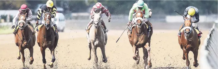  ??  ?? MONEY MAGNET (second right), with Shane Ellis aboard, arriving late to win yesterday’s fifth race over 1,200 metres at Caymanas Park on Saturday, February 3.