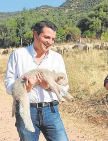  ?? // VALERIO MERINO / ABC ?? El candidato del PP, José María Bellido, sostiene a un borrego en una finca de La Albaida y, abajo, Hurtado con el presidente de CECO