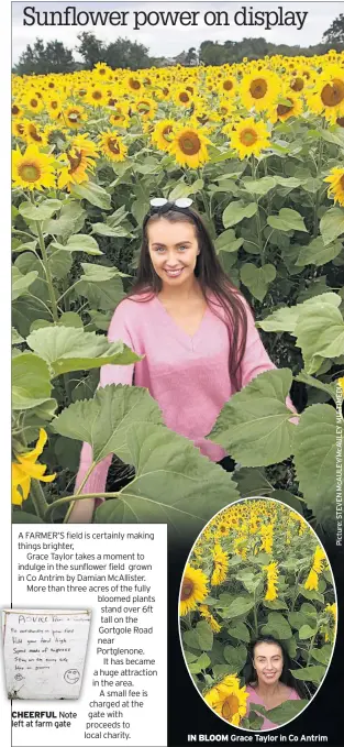  ??  ?? CHEERFUL Note left at farm gate IN BLOOM Grace Taylor in Co Antrim