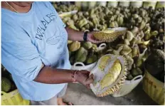  ?? ?? This photo shows workers checking the ripeness of durian.