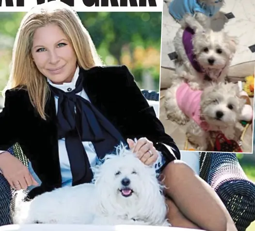  ??  ?? Fond memory: Barbra Streisand with Samantha in 2015. Top: The picture she posted of Fanny, Violet and Scarlett