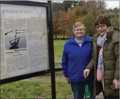  ??  ?? Jean Bingions and Annette Nolan examining the new informatio­n panel erected by the Shillelagh Stick sculpture on the village green.