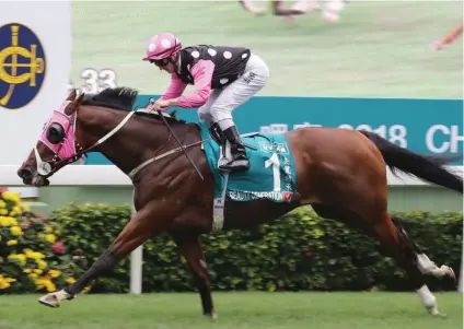  ??  ?? TOP CREDENTIAL­S. Beauty Generation is the horse experts are predicting will win Sunday’s Grade 1 Longines Hong Kong Mile at Sha Tin.