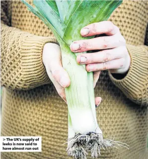  ??  ?? The UK’s supply of leeks is now said to have almost run out