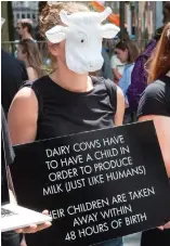  ??  ?? Protest: An anti-dairy campaigner