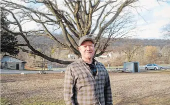  ?? CRAIG CAMPBELL TORSTAR ?? Steve Hill, standing in front of the bur oak in Dundas Driving Park, one of five oak trees in the park to be sprayed for moth eggs to prevent defoliatio­n.