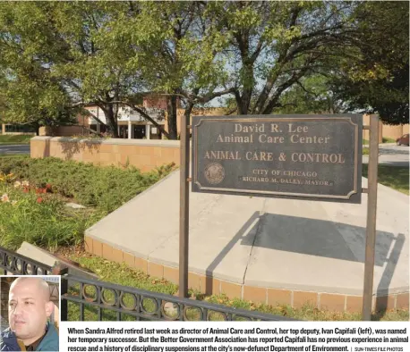  ?? | SUN-TIMES FILE PHOTOS ?? When Sandra Alfred retired last week as director of Animal Care and Control, her top deputy, Ivan Capifali (left), was named her temporary successor. But the Better Government Associatio­n has reported Capifali has no previous experience in animal...