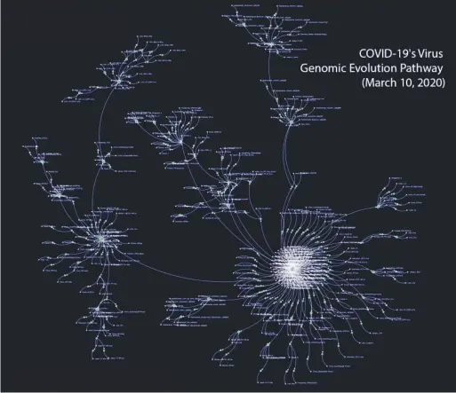  ??  ?? 監控新冠病毒演化圖示。(Graphen官網)