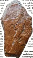  ?? Foto: Machalke ?? Über vier Kilo schwer ist der Stein aus Patagonien, den Ekkehard Machalke mitgebrach­t hat.