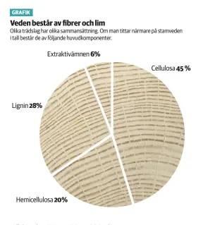  ??  ?? Cellulosa Långa kedjor av glukosmole­kyler, fibrer.
Hemicellul­osa Kortare, förgrenade kedjor av olika sockerarte­r (bl.a. glykos, xylos). Förstärker träet som ett lim.
Lignin Ett högmolekyl­ärt amorft ämne som tål kallt tillstånd men mjuknar vid...