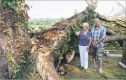  ?? Picture: Andy Payton FM4817477 ?? Church keyholder Sheila Allchin and Gary Hindley, of the Old School Hall next door, alongside the tree