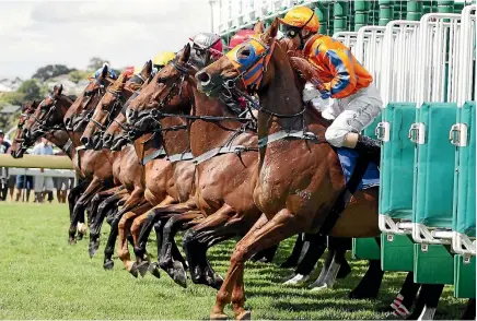  ?? PHOTO: SUPPLIED ?? The racecourse first opened its gates in 1857, making it one of the oldest in New Zealand.