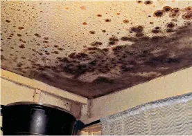  ?? ?? Appalling: The black mould seen in the Rochdale flat