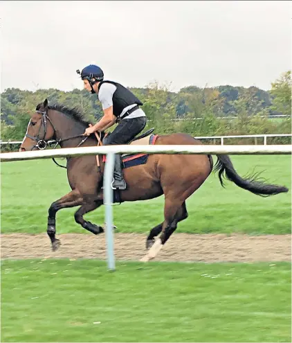  ??  ?? Riding out: Former Liverpool striker Michael Owen takes to the gallops at his Manor House Stables in Cheshire, where until now he has remained firmly outside the rails